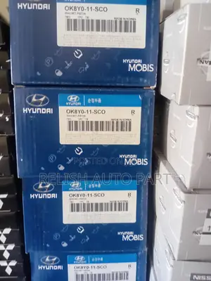 Original Pistons for Kia Rhino 1