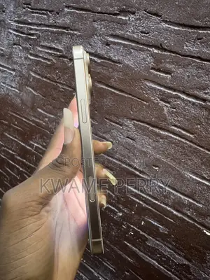 Apple iPhone 16 Pro Max 256 GB Gold
