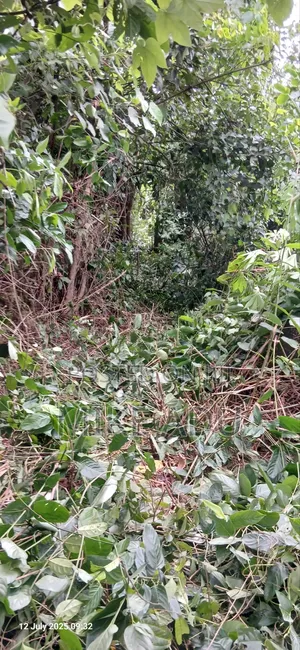 Half Plot of Land for Sale
