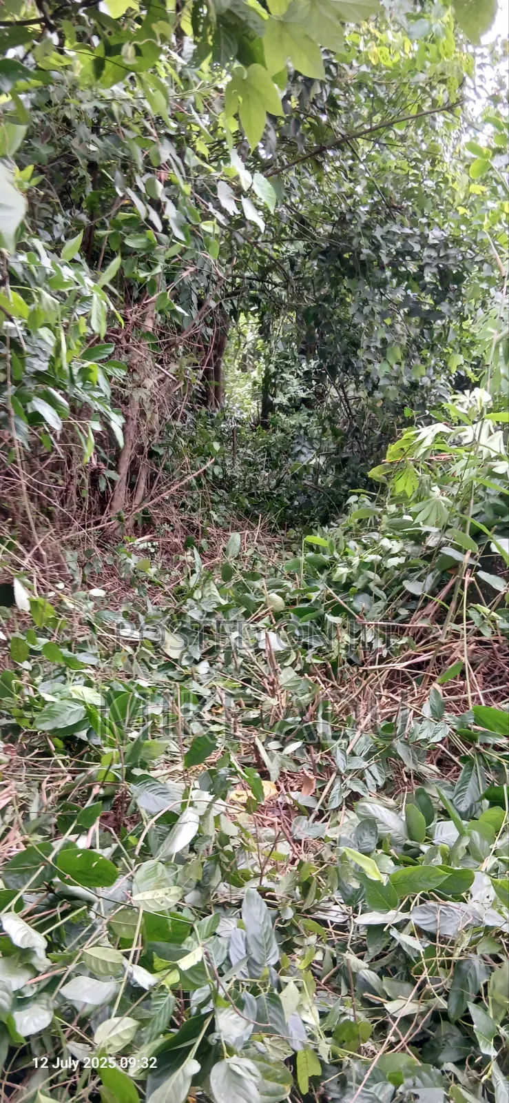 Half Plot of Land for Sale