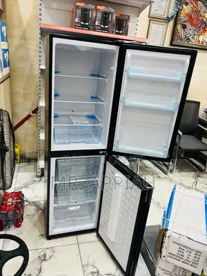 Energy Saving Nasco Bottom Mount Freezer Fridge(Nasd2-24)Mirror