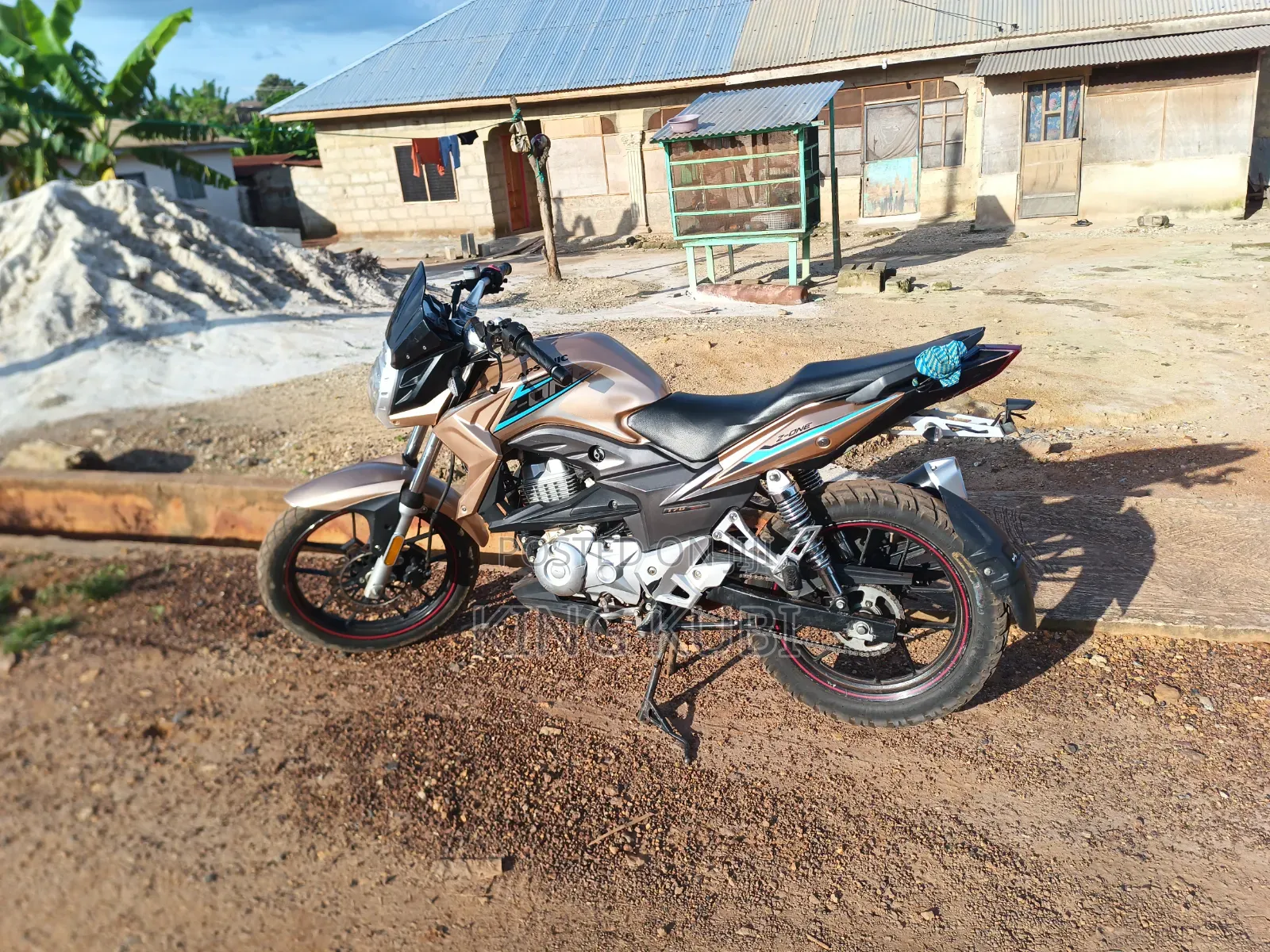 Apsonic 170 Zone One 2024 Gold