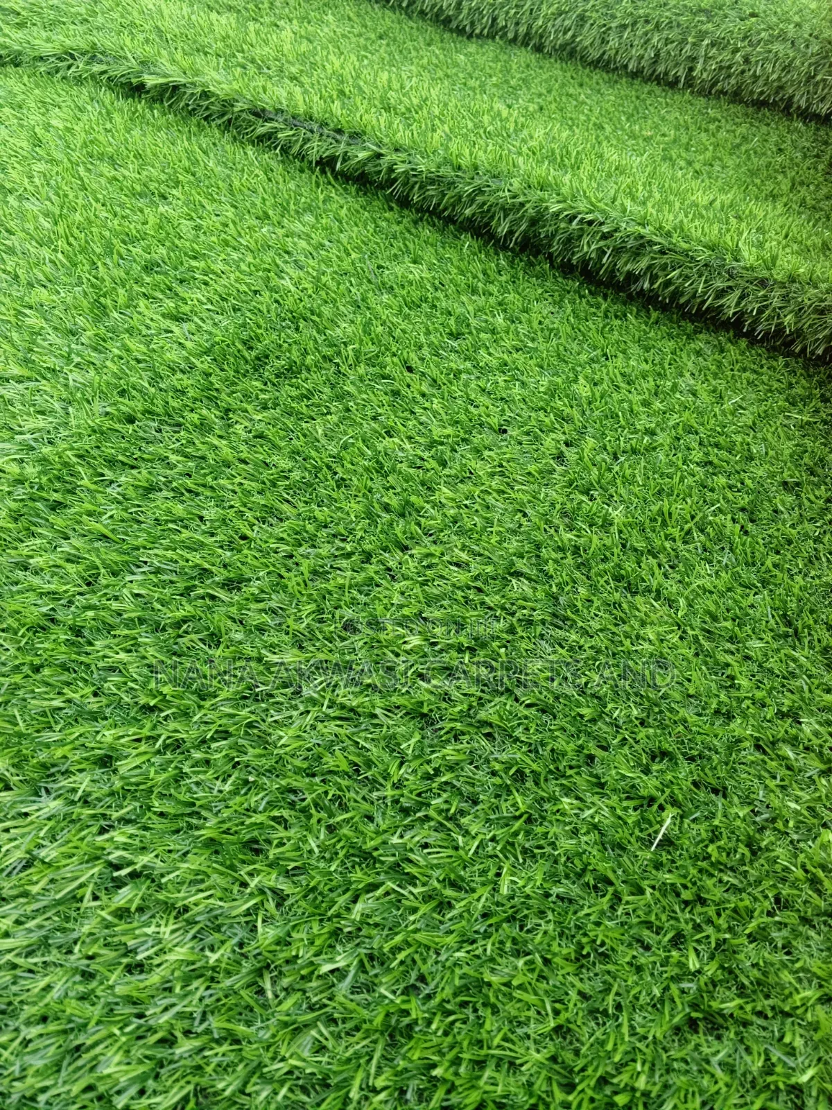 Green Grass Carpet