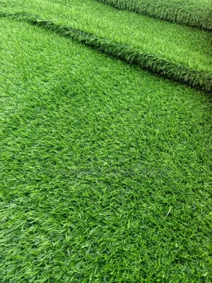 Green Grass Carpet