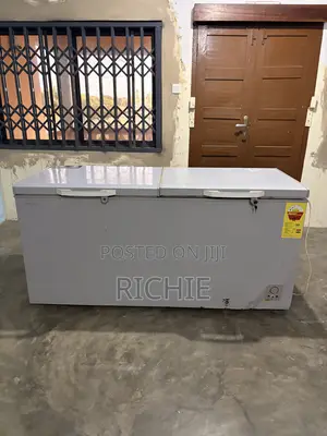 Hisense Double Door Deep Freezer