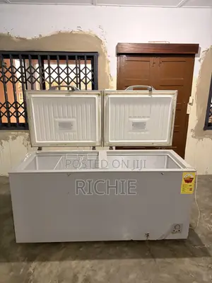 Hisense Double Door Deep Freezer