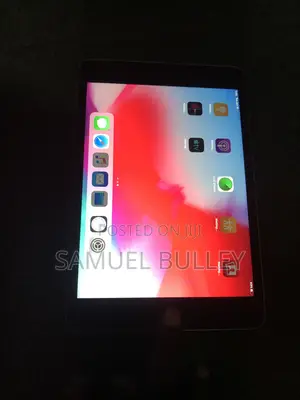 Apple iPhone 12 mini 128 GB Gray