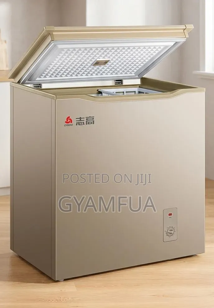 Chigo Chest Freezer for Sale