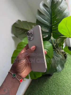 Apple iPhone 15 Pro Max 256 GB Silver