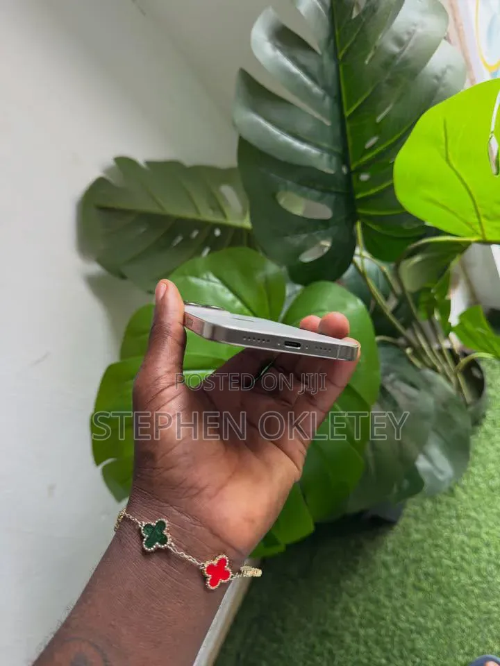 Apple iPhone 15 Pro Max 256 GB Silver