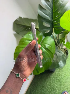 Apple iPhone 15 Pro Max 256 GB Silver