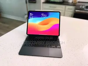 Apple iPad Pro 13 (2024) 256 GB Gray