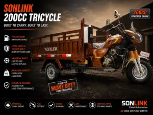 New Sonlink SL200ZH-SC 2026 Brown