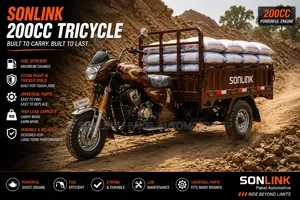 New Sonlink SL200ZH-SC 2026 Brown