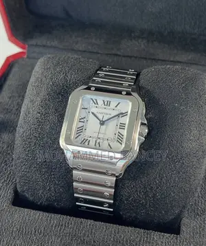 Normal Cartier Watch