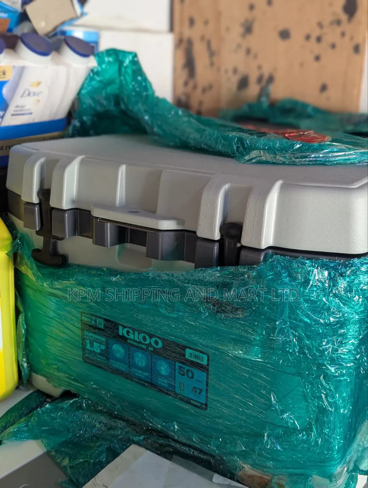Igloo Ice Chest for Camping (50qt 42l)