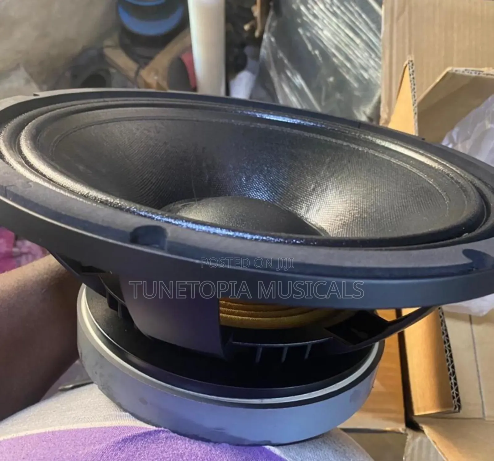 Jac Professional Ms12h21g 12inches Pair of Naked Loudspeaker