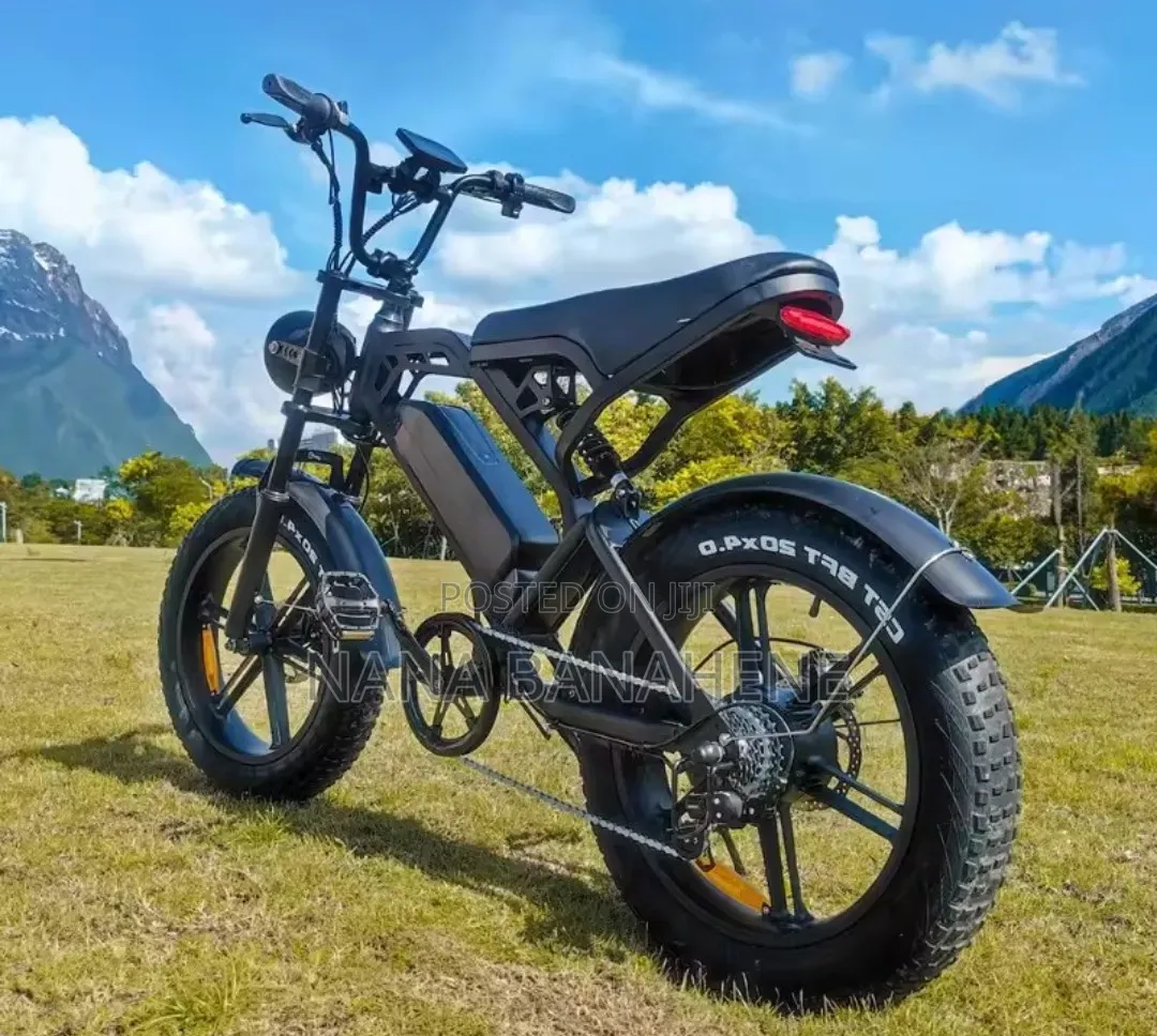 Brand New in the Box Ouxi V20 Electric Bike
