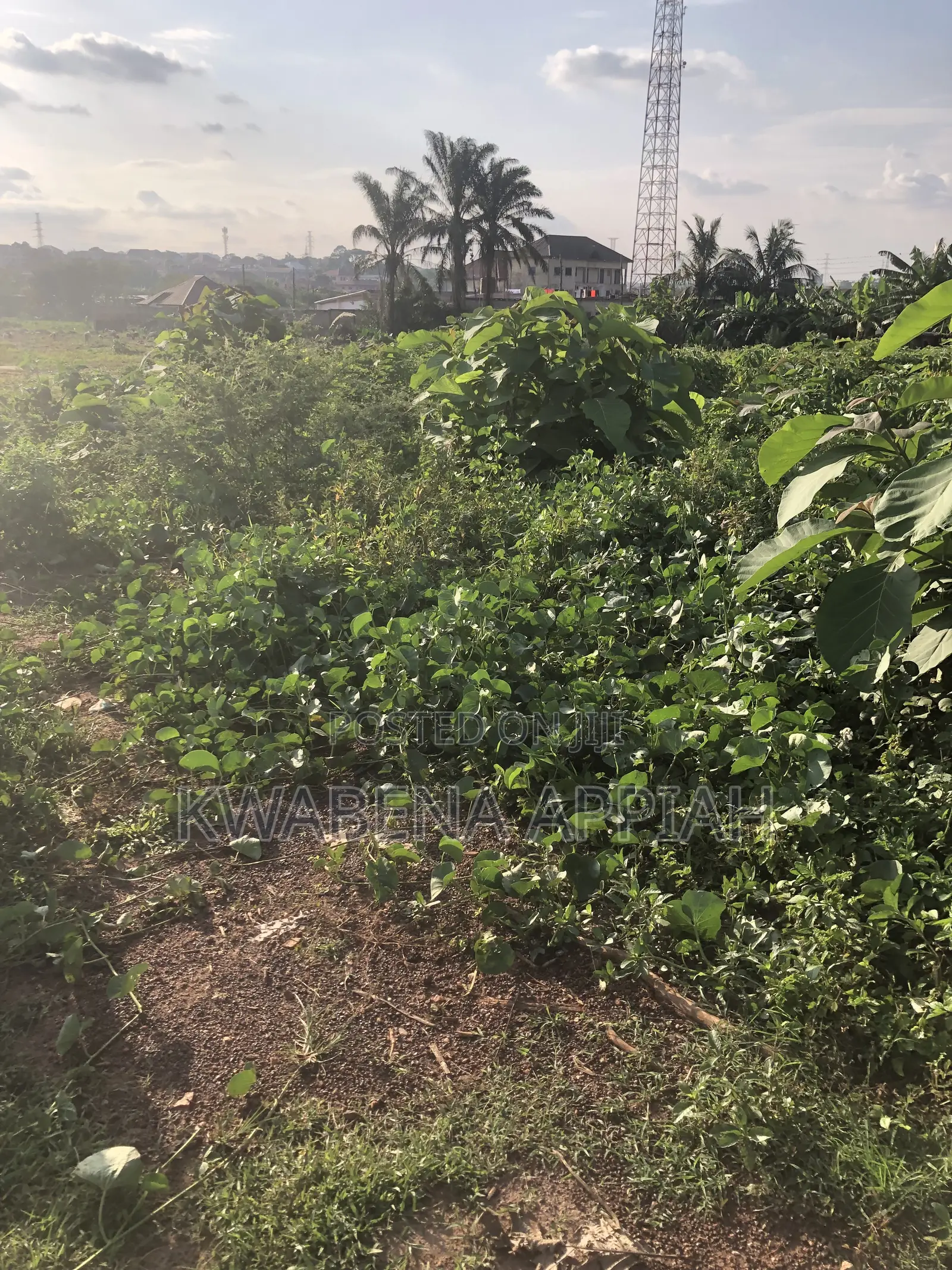 Commercial Plots of Land Is on Sales