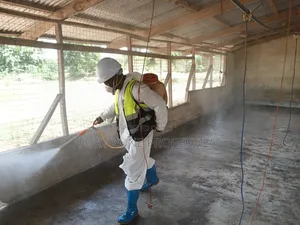 Penthouses For Chicken And Animals Farms Disinfection Works