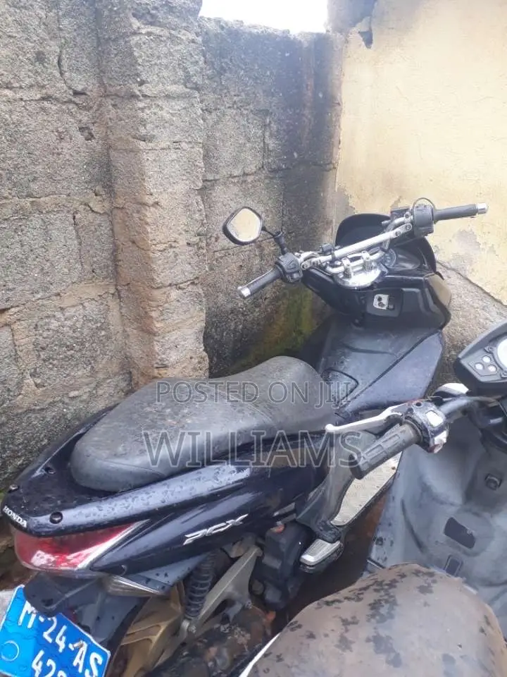 Honda 2024 Black