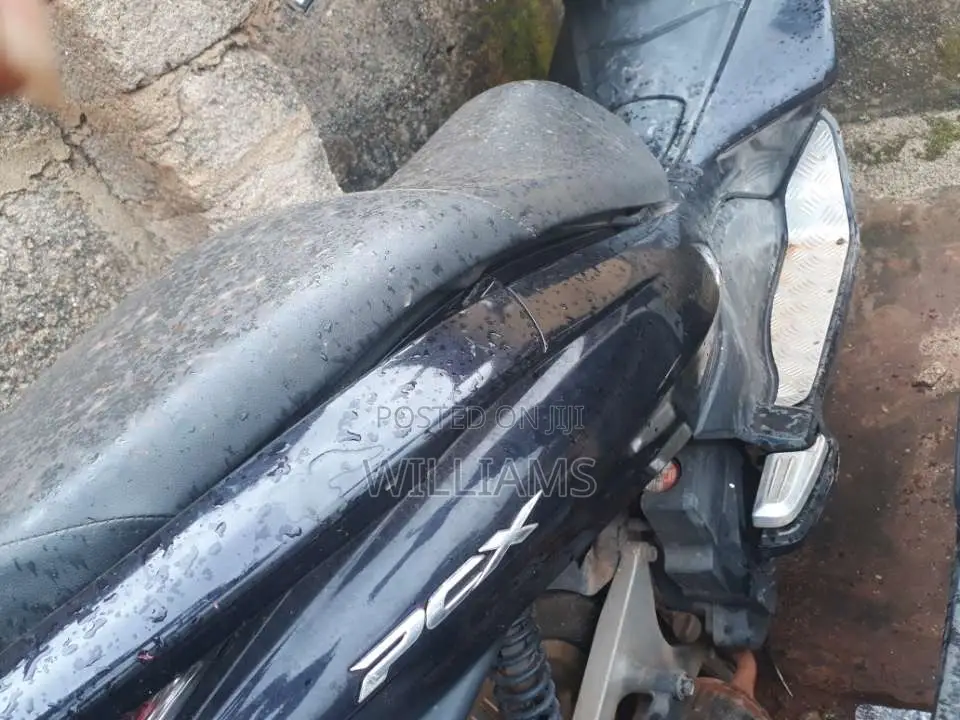 Honda 2024 Black