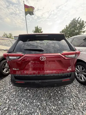 Toyota RAV4 LE AWD 2019 Red