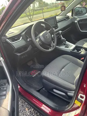 Toyota RAV4 LE AWD 2019 Red