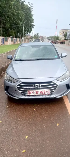 Hyundai Elantra 2017 Gray