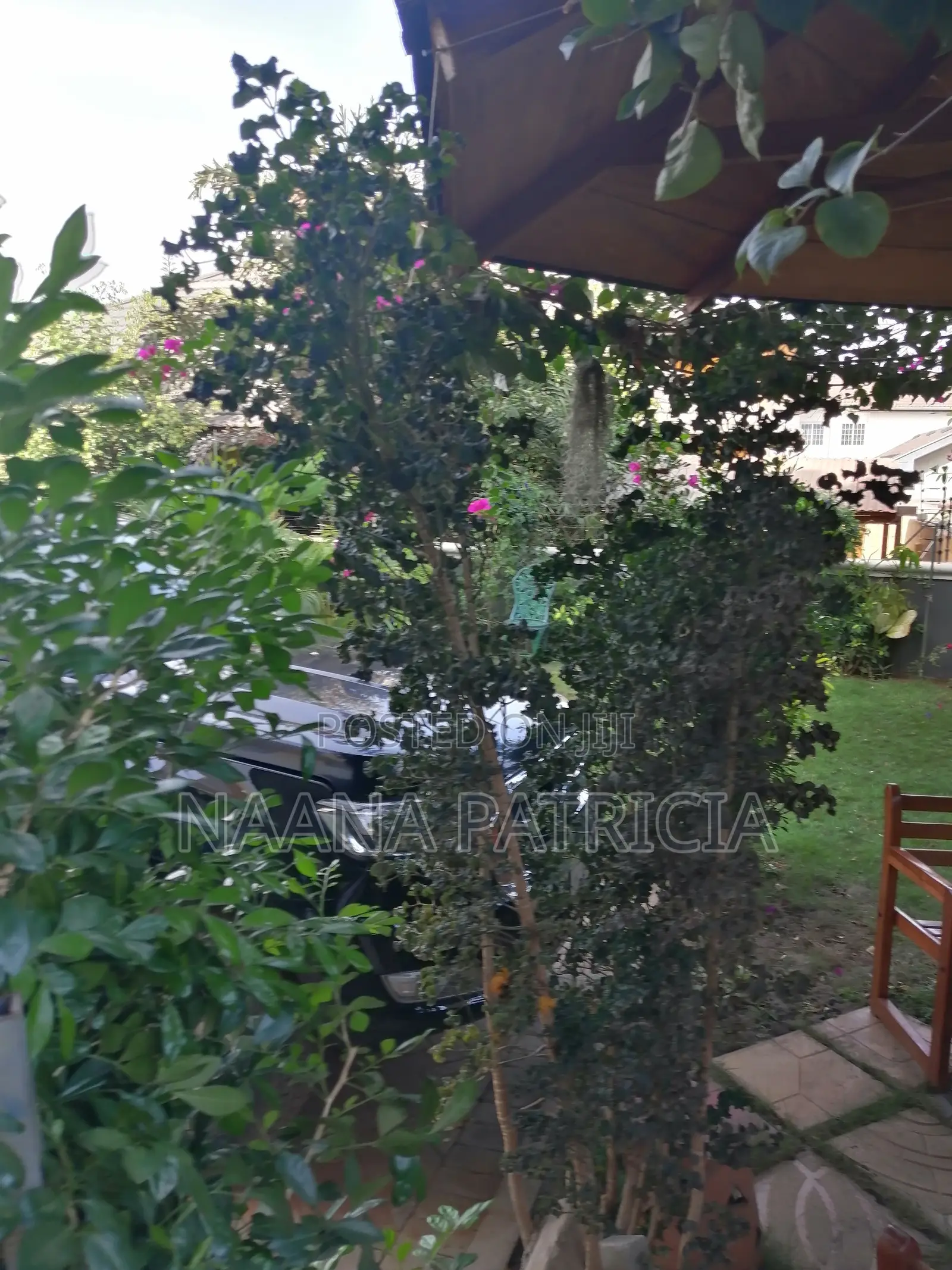 Furnished 2bdrm Townhouse / Terrace in N/A, Tseaddo for rent