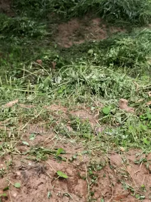 A Plot of Land for Sell