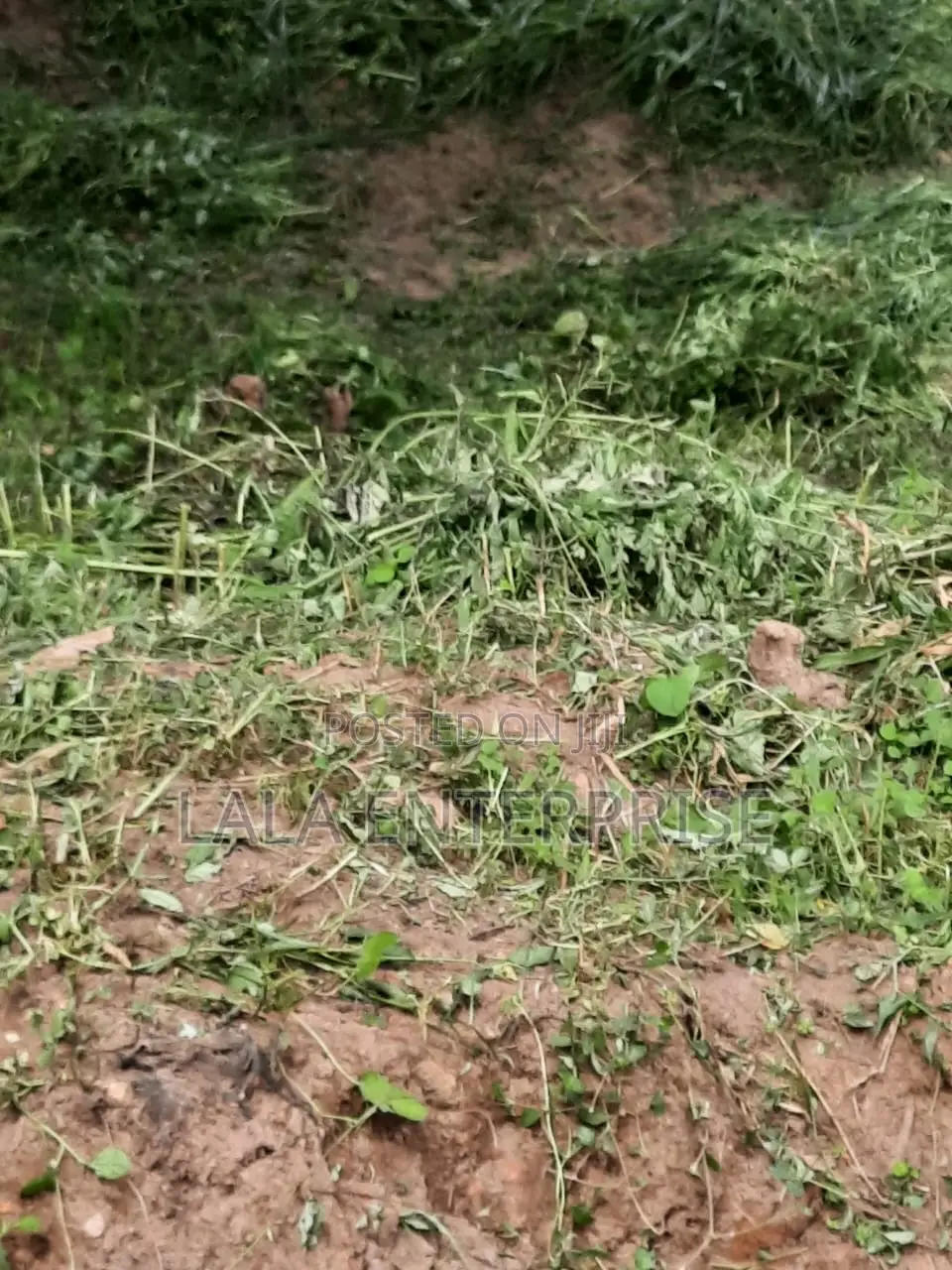 A Plot of Land for Sell