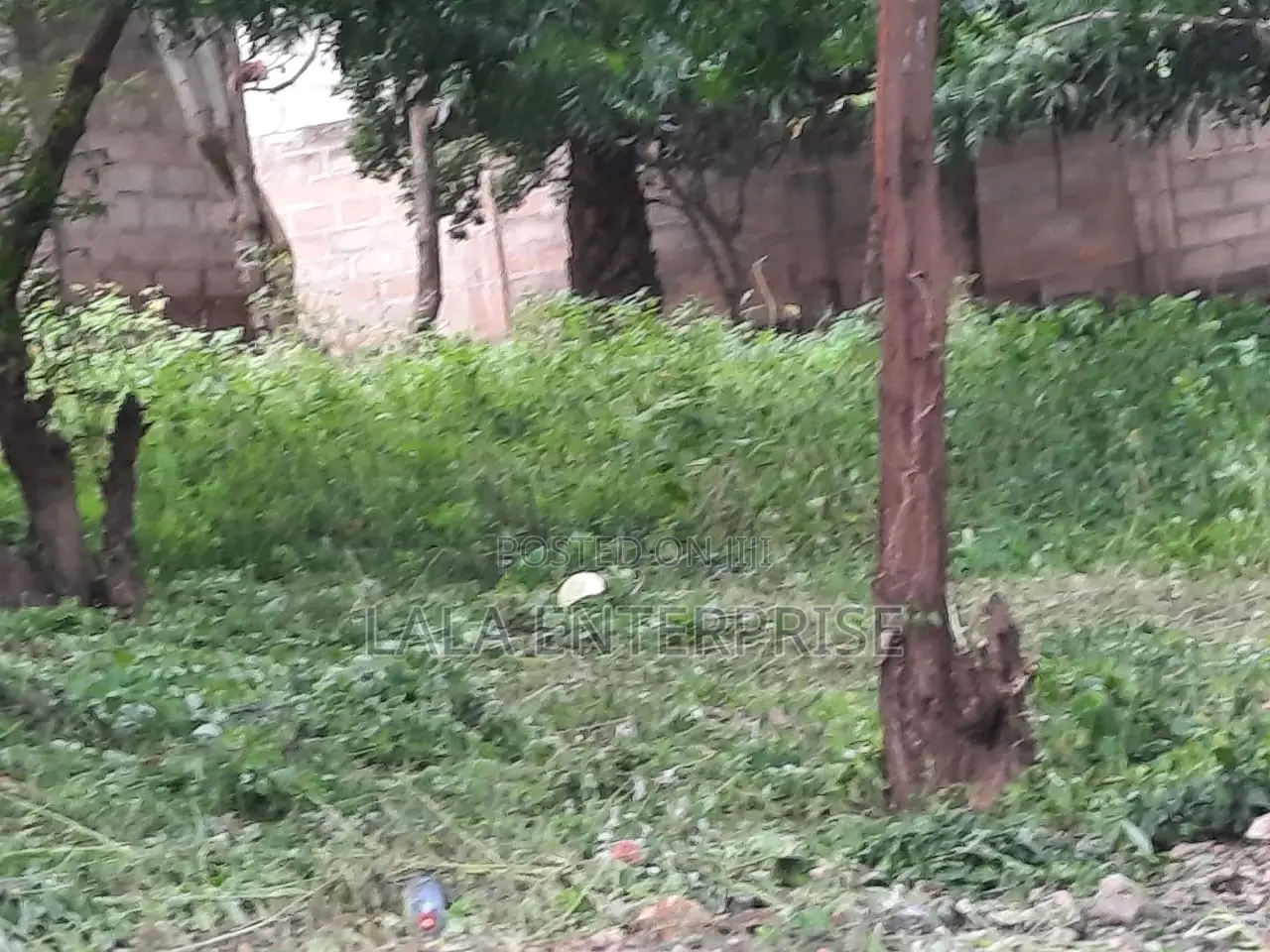 A Plot of Land for Sell