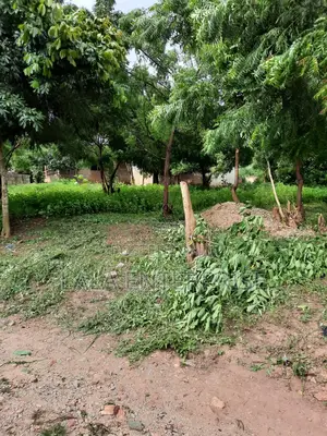 A Plot of Land for Sell