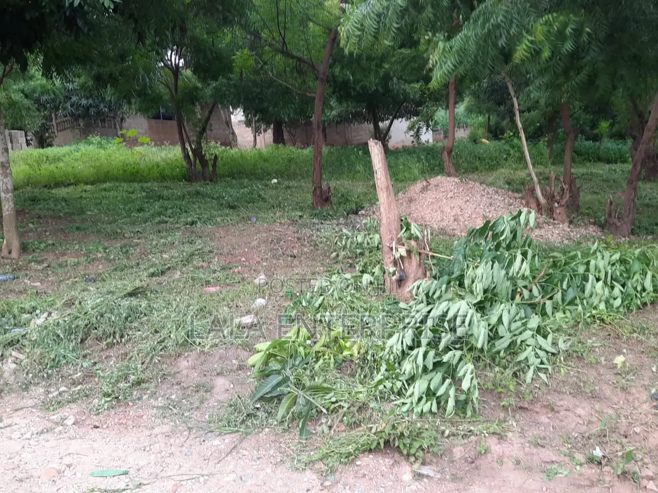 A Plot of Land for Sell