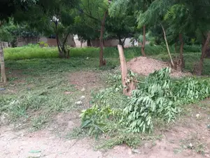 A Plot of Land for Sell
