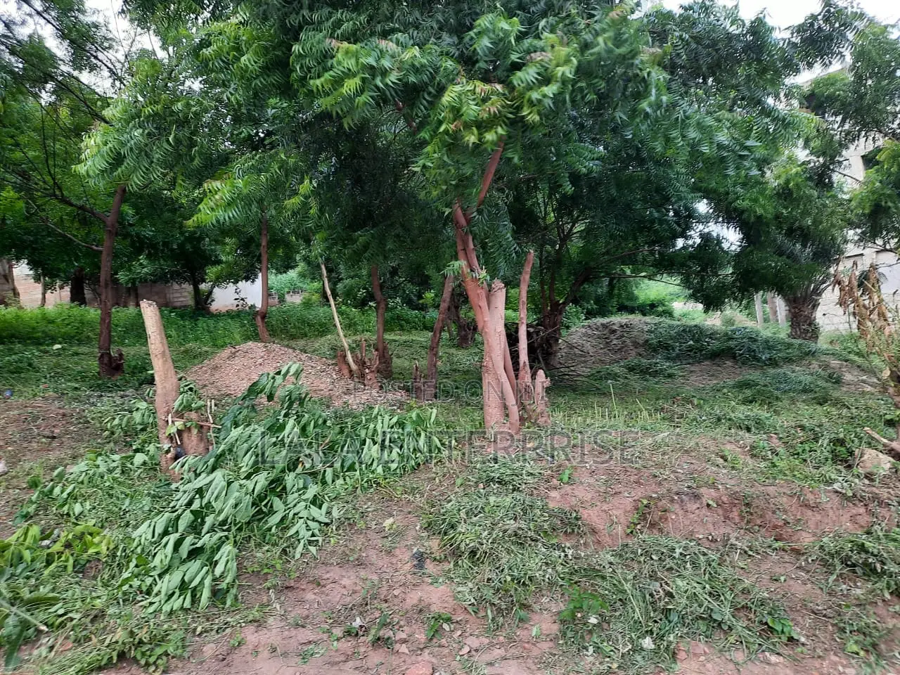 A Plot of Land for Sell