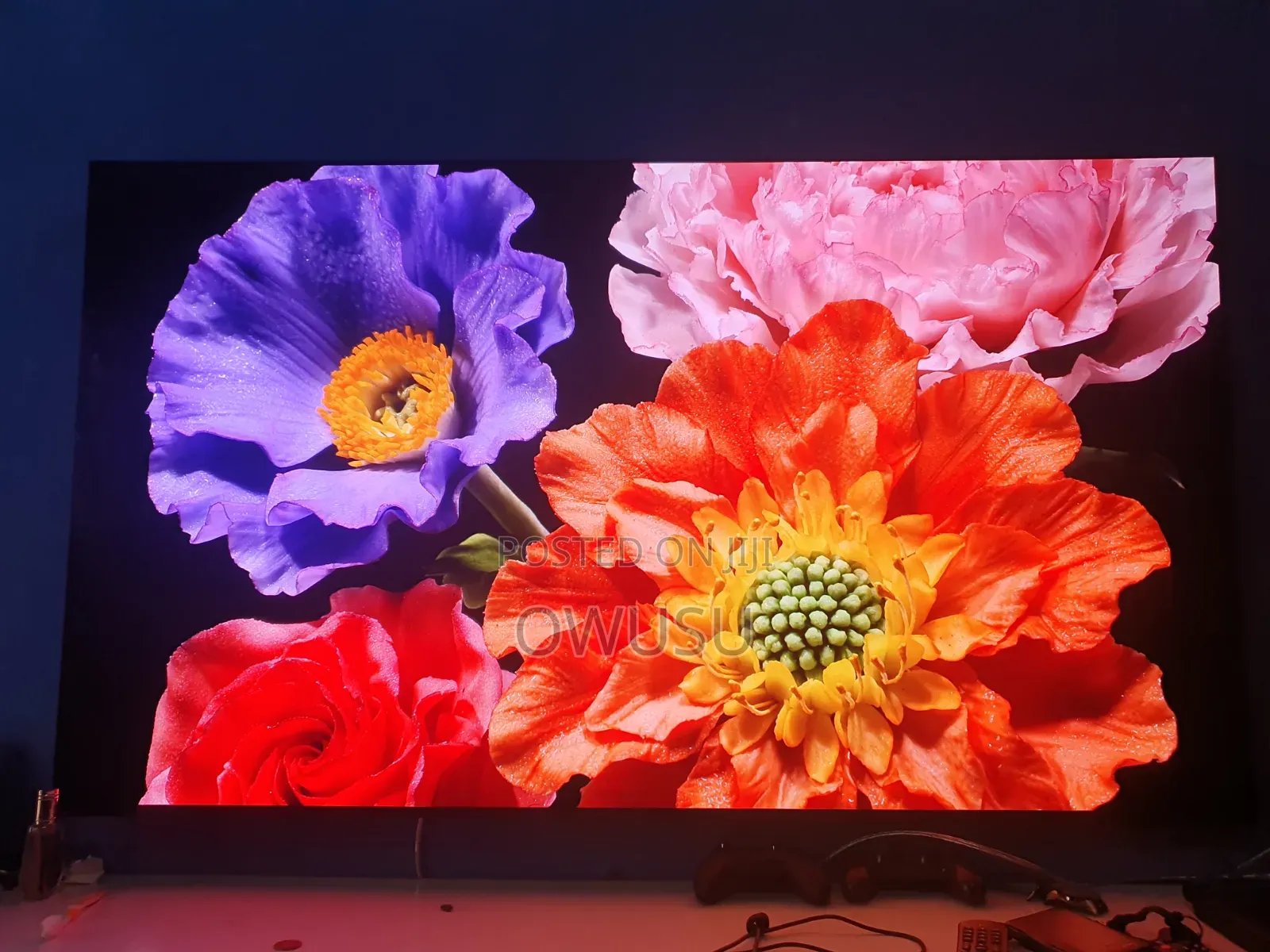 Samsung Oled S95c Tv