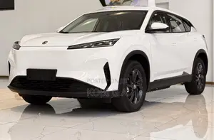 Dongfeng Captain 2024 White