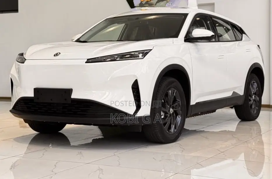 Dongfeng Captain 2024 White