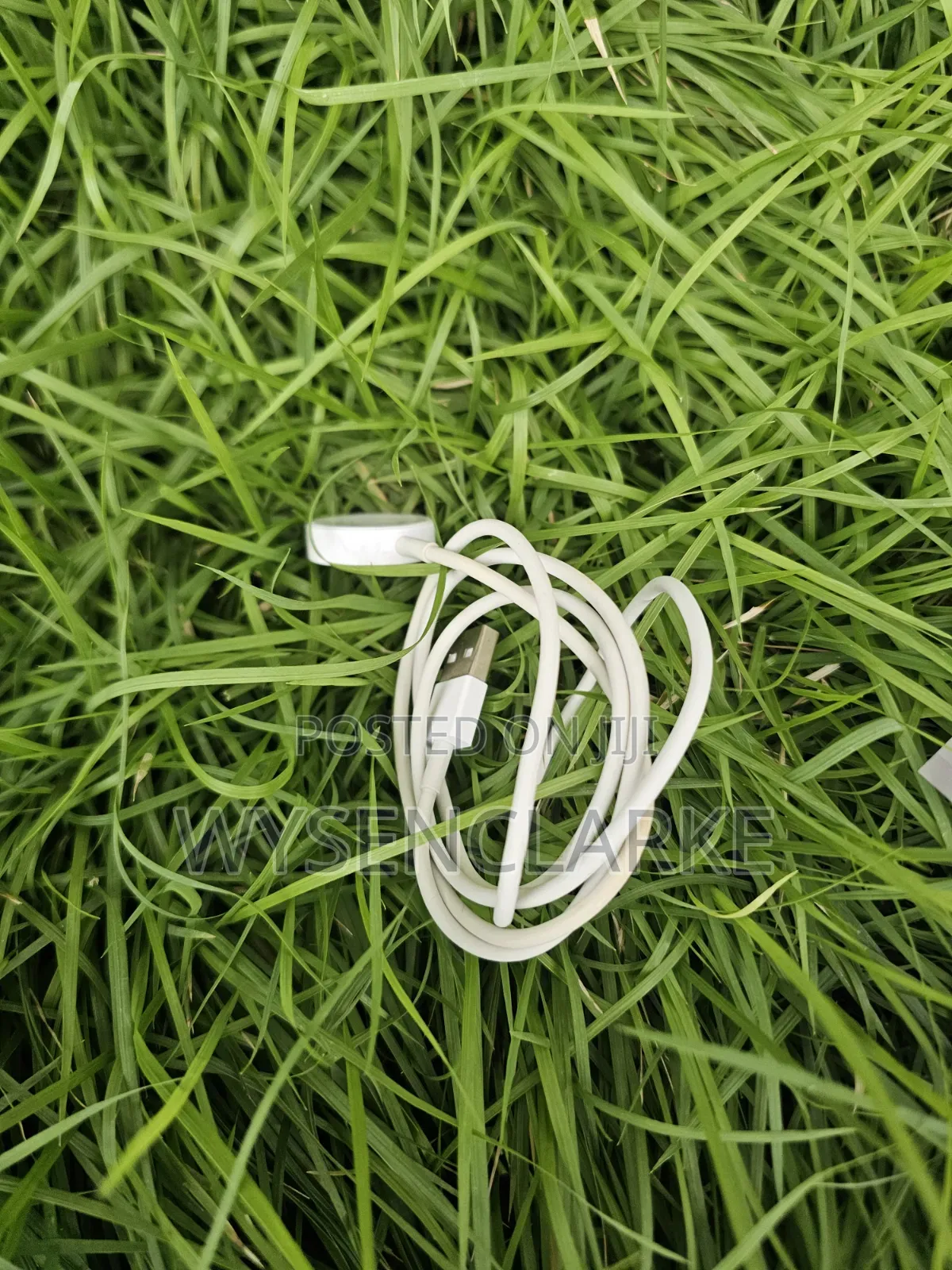 Usa Used Apple Watch Series 6 44mm