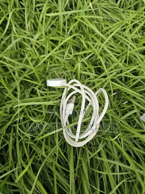 Usa Used Apple Watch Series 6 44mm