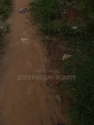 Well Demarcated Land With Good Roads and Electricity Avaliable
