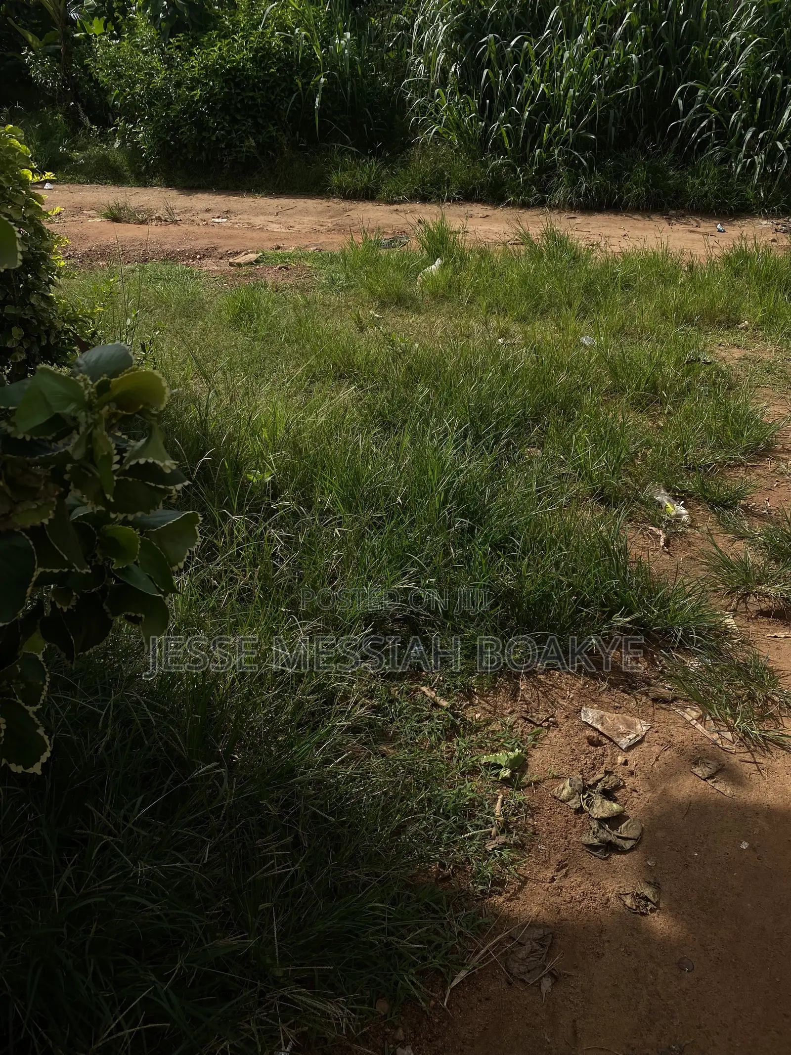 Well Demarcated Land With Good Roads and Electricity Avaliable