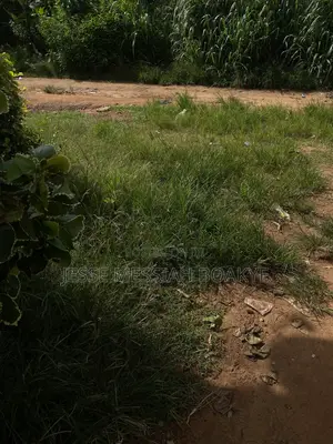 Well Demarcated Land With Good Roads and Electricity Avaliable