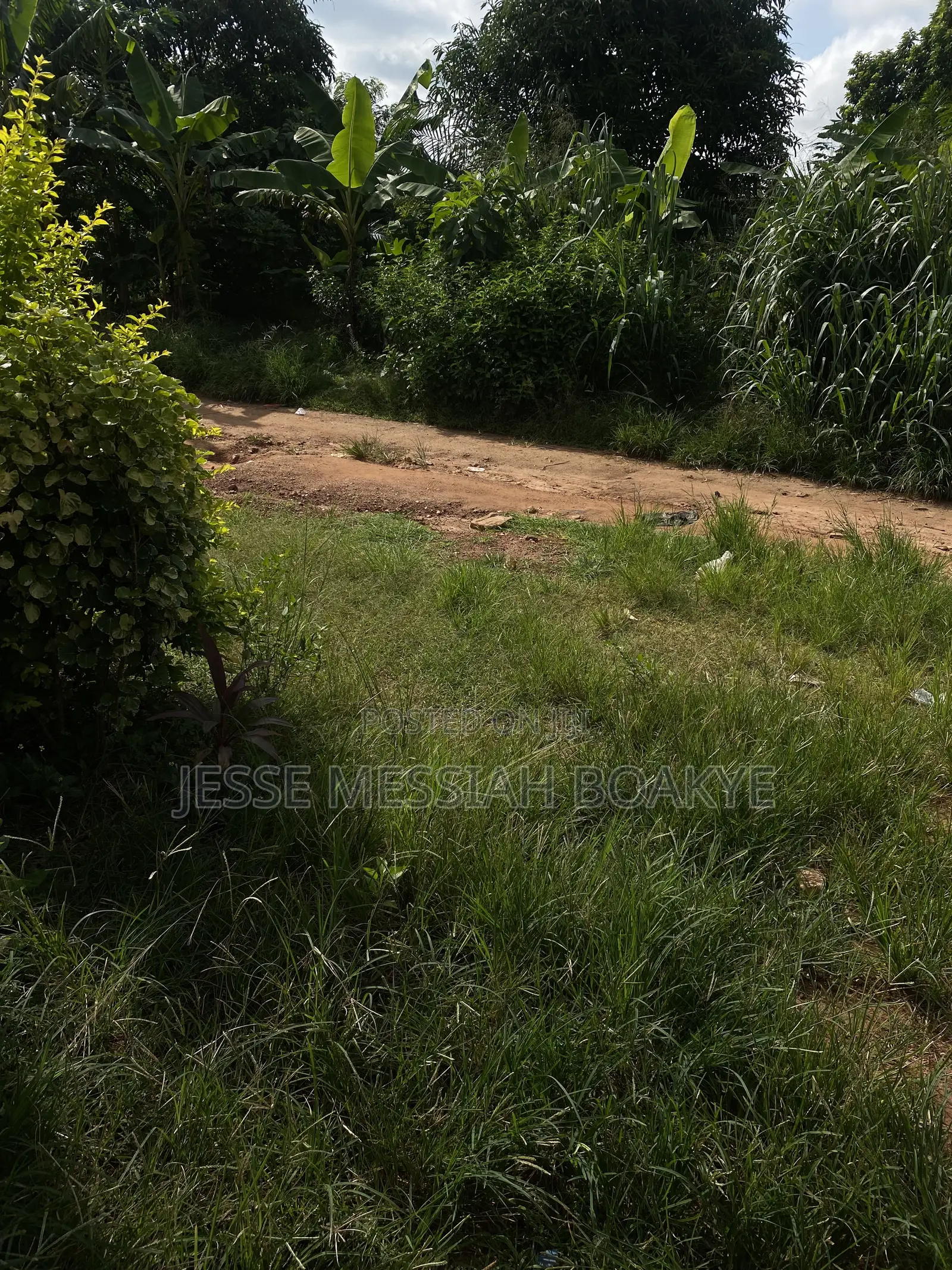 Well Demarcated Land With Good Roads and Electricity Avaliable
