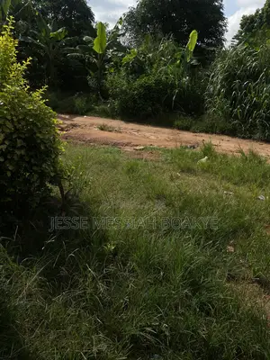 Well Demarcated Land With Good Roads and Electricity Avaliable