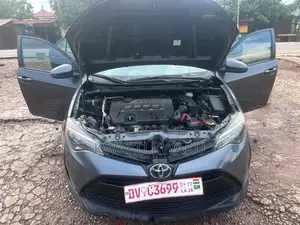 Toyota Corolla LE (1.8L 4cyl 2A) 2019 Gray