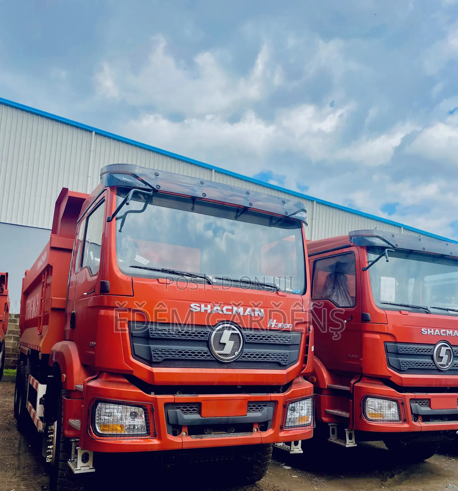 Brand New Shacman Tippers, Trailers for Sale (All Heavy Duty Machines)