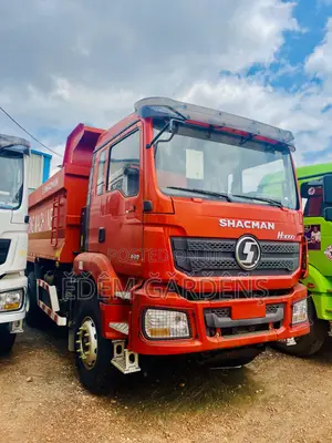 Brand New Shacman Tippers Trailers For Sale(All Heavy Duty Machines)